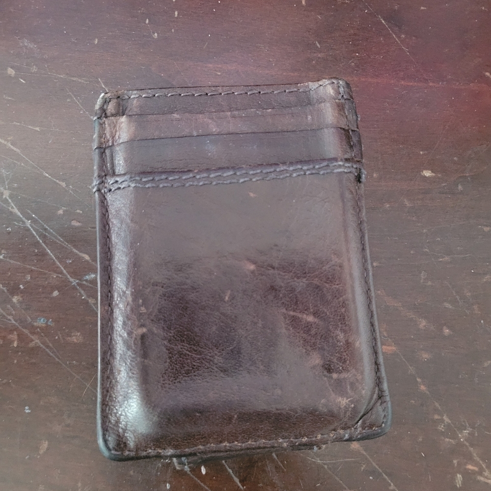 Fossil magnetic wallet